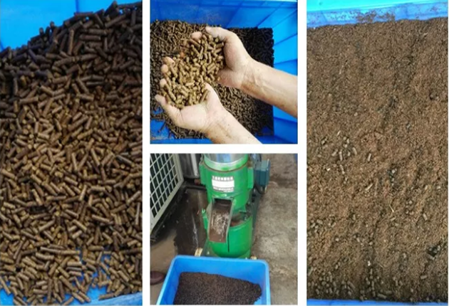 垃圾“圍城” ，易腐垃圾資源化處理成為突破口